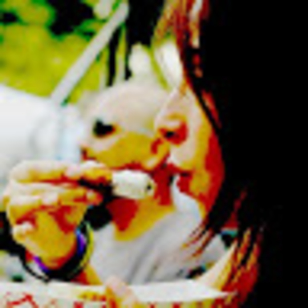 Meet your Posher, Susanne